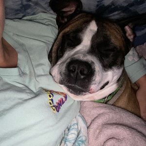 Meet your Posher, Summer